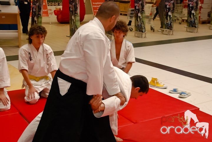 Lecţie de Aikido în Era Shopping Park, Era Shopping Park