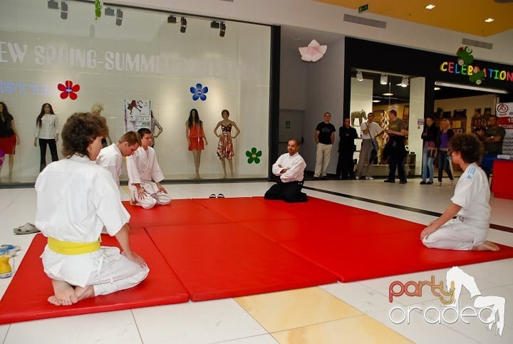 Lecţie de Aikido în Era Shopping Park, Era Shopping Park