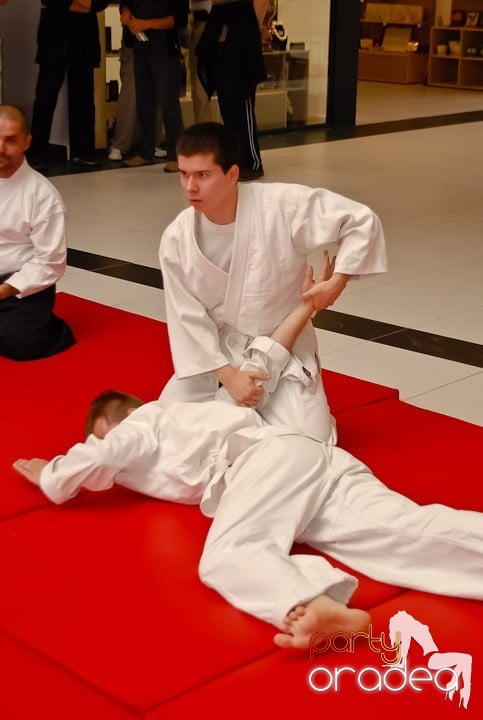 Lecţie de Aikido în Era Shopping Park, Era Shopping Park