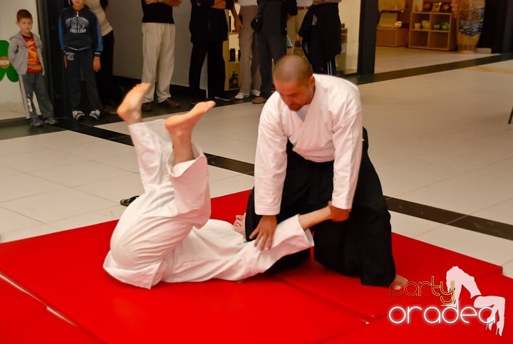 Lecţie de Aikido în Era Shopping Park, Era Shopping Park