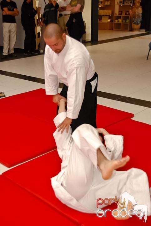 Lecţie de Aikido în Era Shopping Park, Era Shopping Park