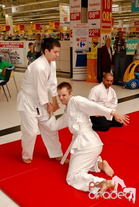 Lecţie de Aikido în Era Shopping Park, Era Shopping Park