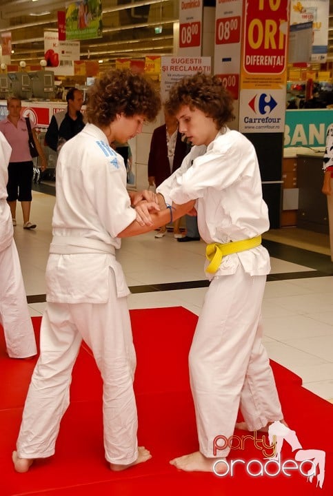 Lecţie de Aikido în Era Shopping Park, Era Shopping Park