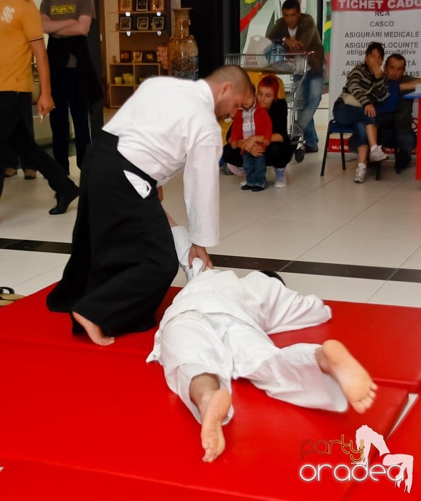 Lecţie de Aikido în Era Shopping Park, Era Shopping Park