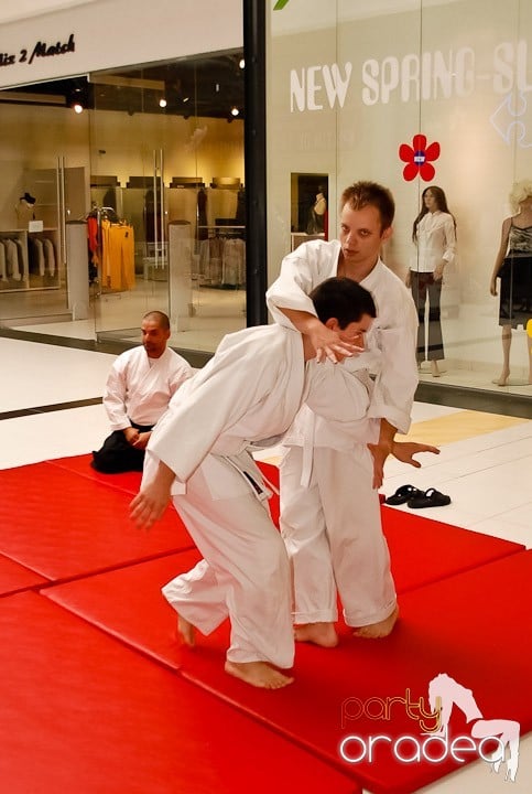 Lecţie de Aikido în Era Shopping Park, Era Shopping Park