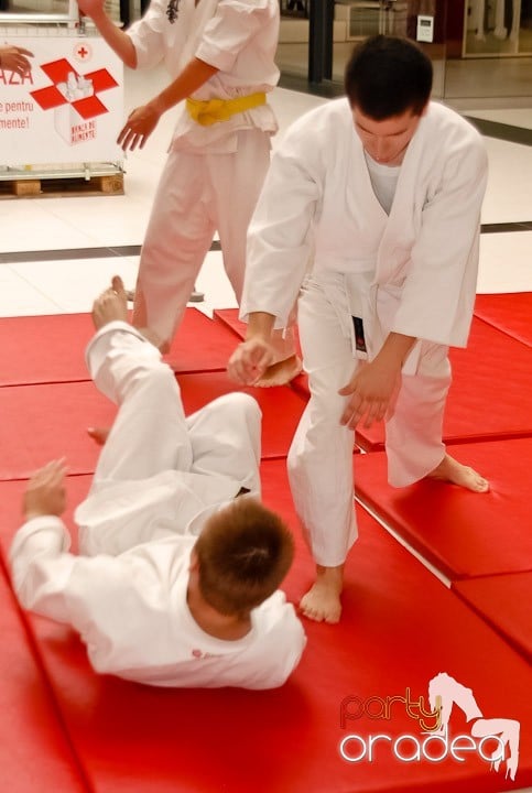 Lecţie de Aikido în Era Shopping Park, Era Shopping Park