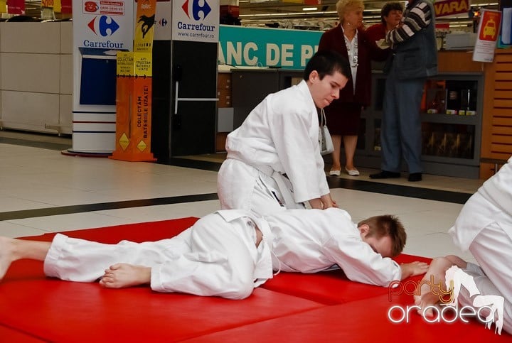 Lecţie de Aikido în Era Shopping Park, Era Shopping Park