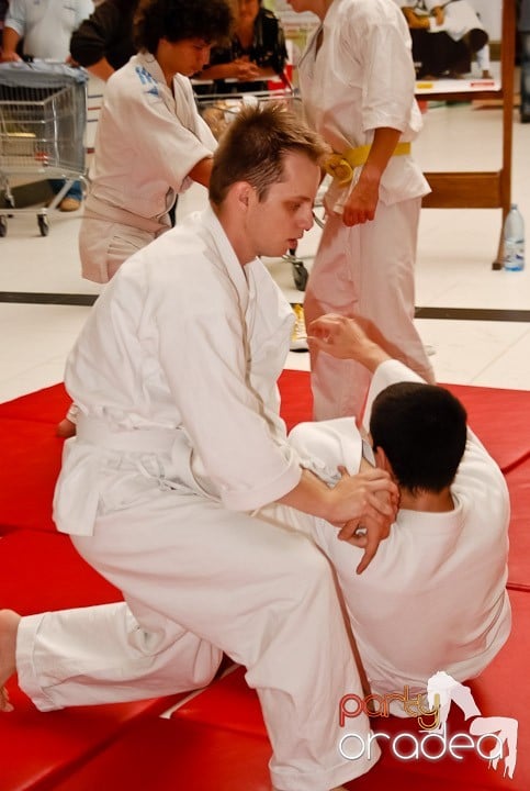 Lecţie de Aikido în Era Shopping Park, Era Shopping Park