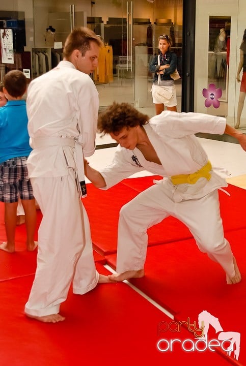 Lecţie de Aikido în Era Shopping Park, Era Shopping Park