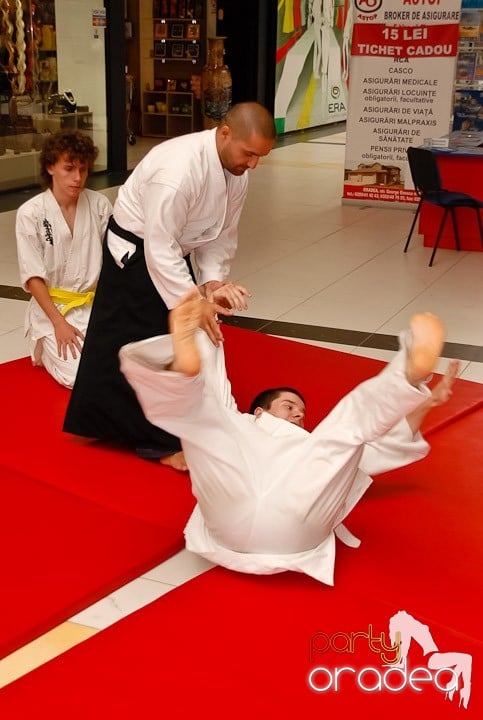 Lecţie de Aikido în Era Shopping Park, Era Shopping Park