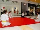 Lecţie de Aikido în Era Shopping Park