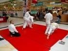 Lecţie de Aikido în Era Shopping Park