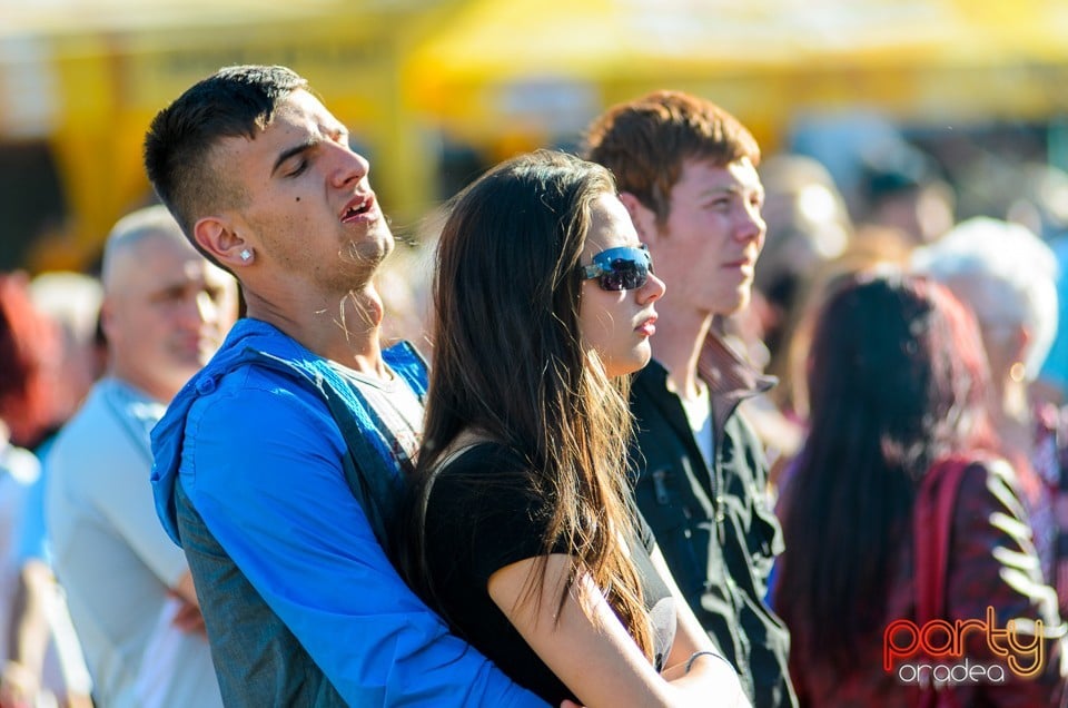 Majális 2014, Cetatea Oradea