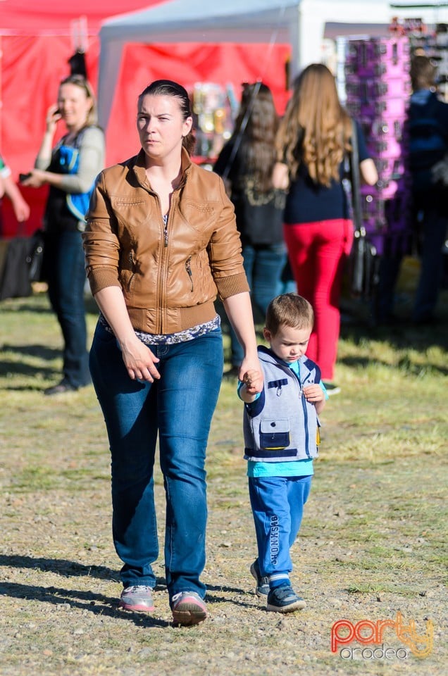 Majális 2014, Cetatea Oradea