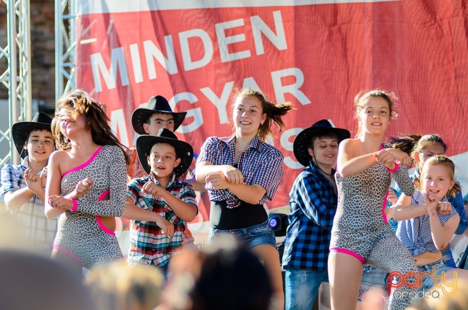 Majális 2014, Cetatea Oradea