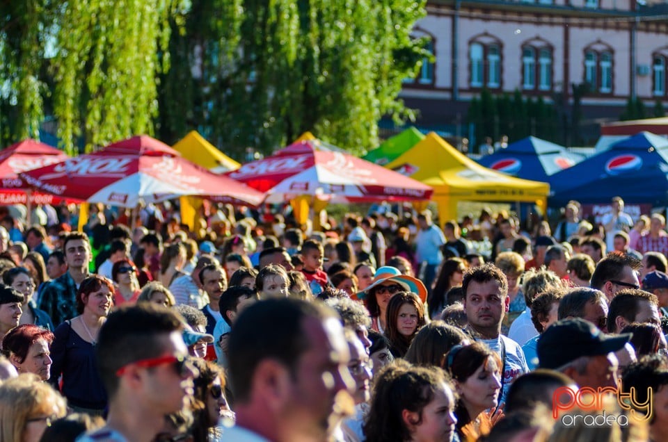 Majális 2014, Cetatea Oradea