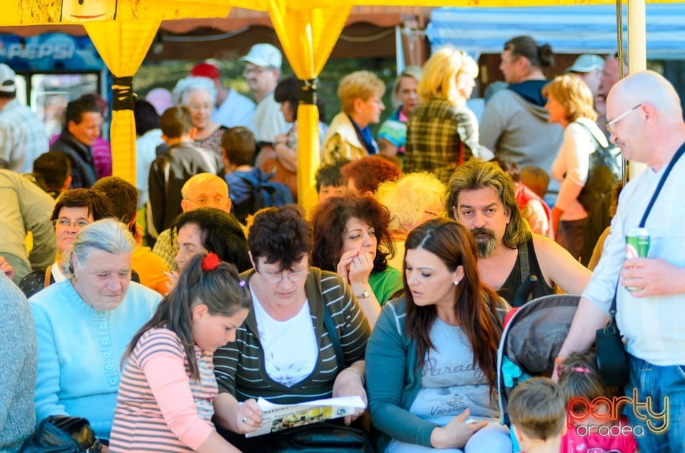 Majális 2014, Cetatea Oradea