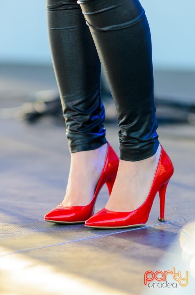 Majális 2014, Cetatea Oradea