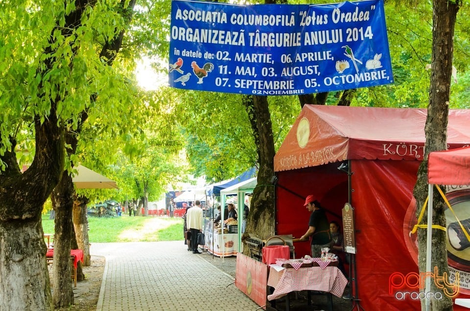 Mândru-i cântecu-n Bihor, Oradea