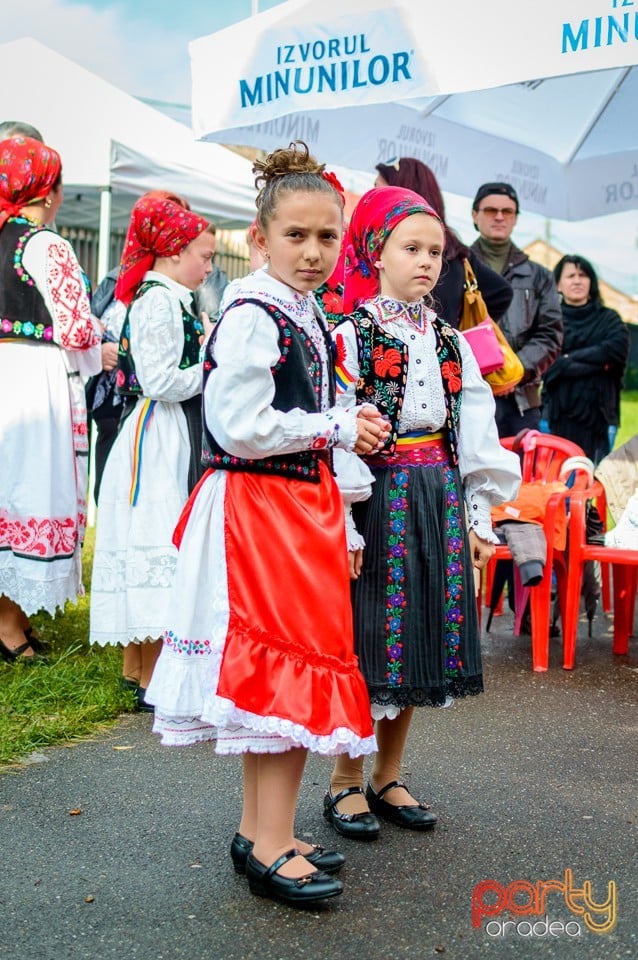 Mândru-i cântecu-n Bihor, Oradea