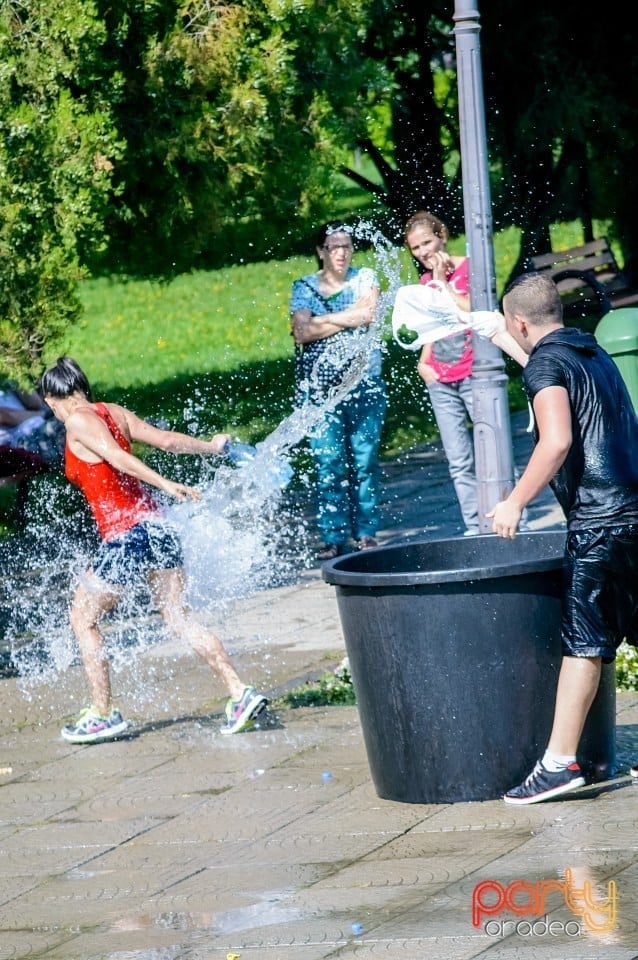 Marea stropeală Orădeană, Oradea