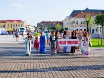 Marșul Feminității