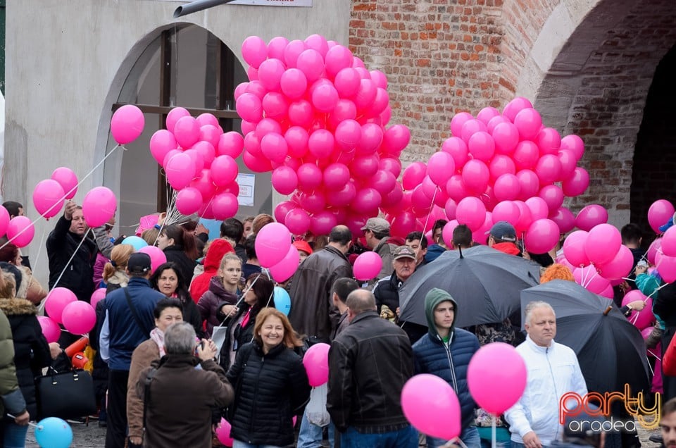 Marşul trupelor roz, Oradea