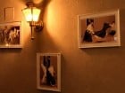 Maya's Cafe