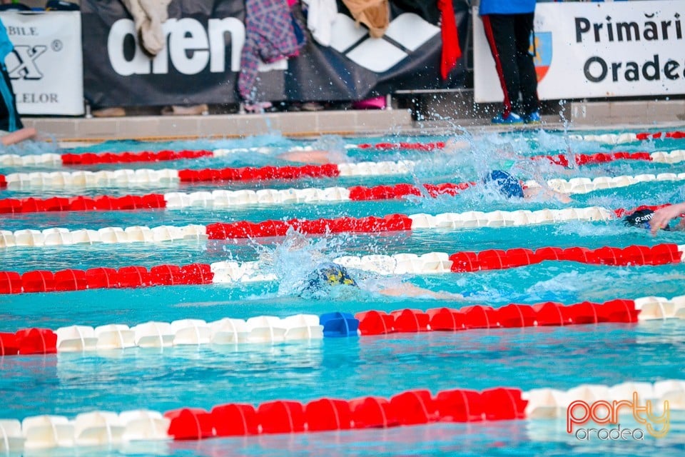 Memorialul Scheir Herman, ediţia 2015, Bazinul Olimpic Ioan Alexandrescu