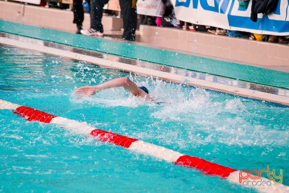 Memorialul Scheir Herman, ediţia 2015, Bazinul Olimpic Ioan Alexandrescu