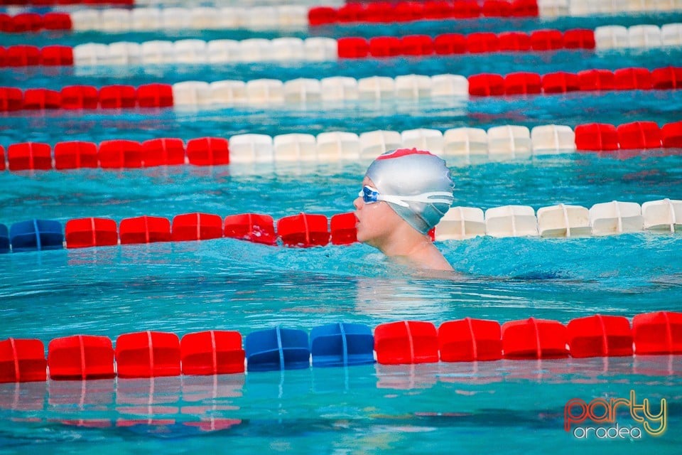 Memorialul Scheir Herman, ediţia 2015, Bazinul Olimpic Ioan Alexandrescu