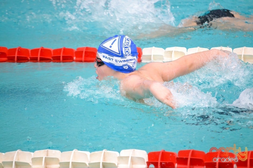 Memorialul Scheir Herman, Bazinul Olimpic Ioan Alexandrescu