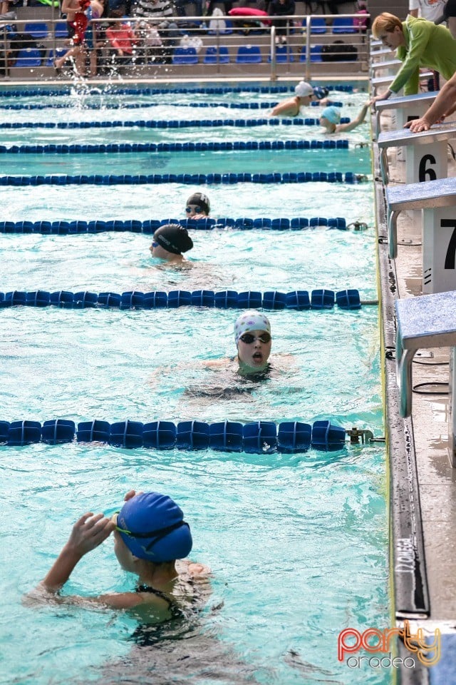 Memorialul Scheir Herman, Bazinul Olimpic Ioan Alexandrescu