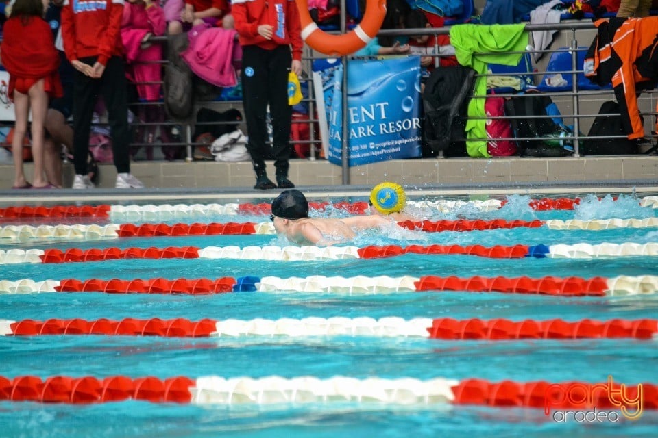 Memorialul Scheir Herman, Bazinul Olimpic Ioan Alexandrescu