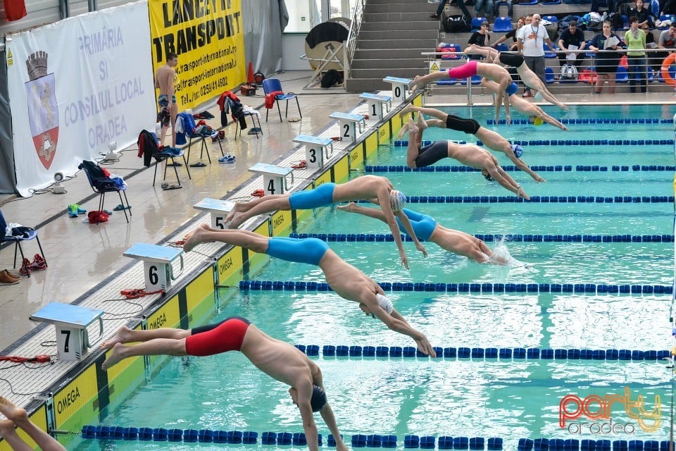 Memorialul Scheir Herman, Bazinul Olimpic Ioan Alexandrescu