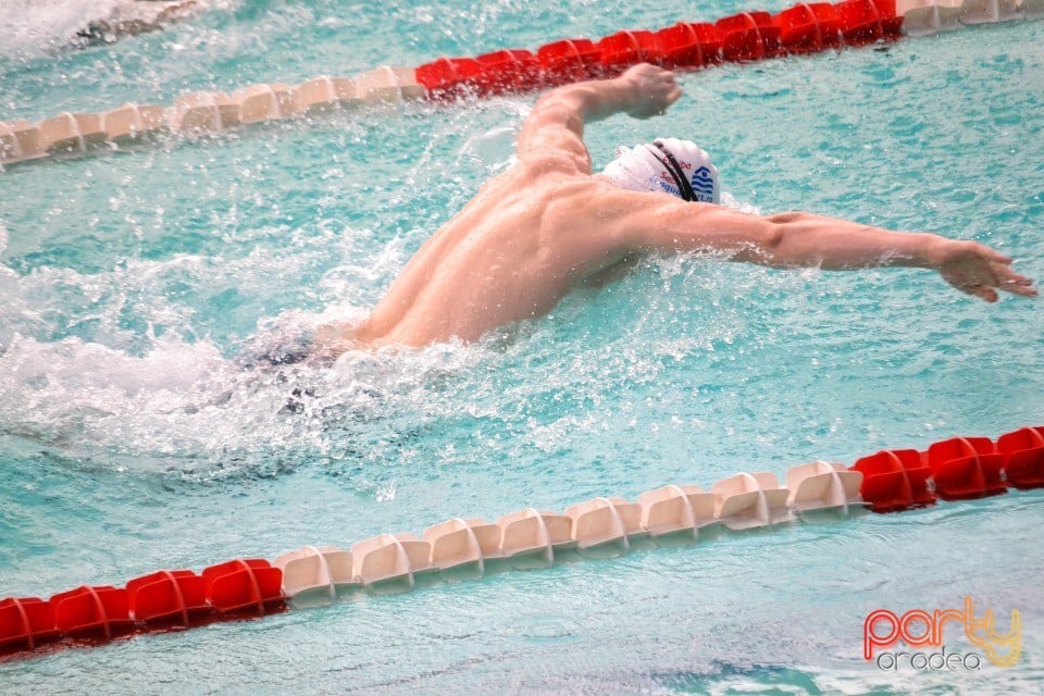 Memorialul Scheir Herman, Bazinul Olimpic Ioan Alexandrescu