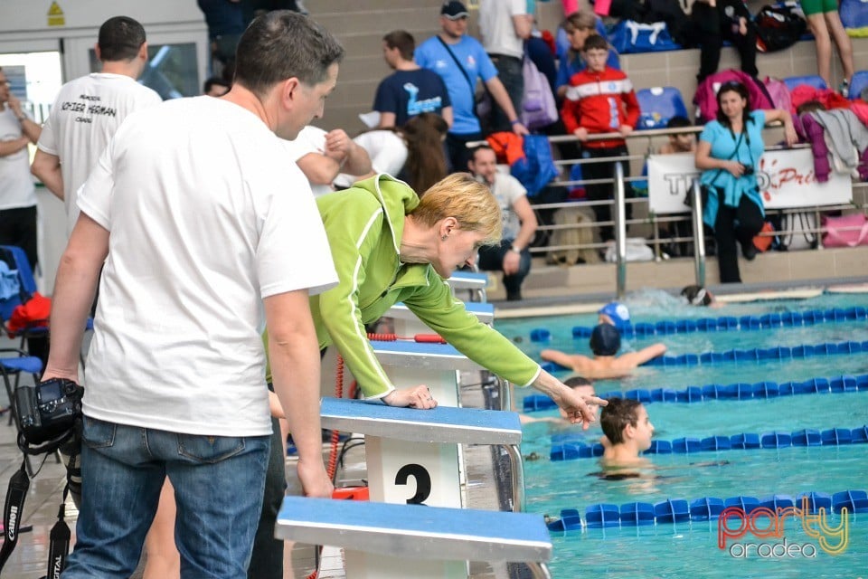 Memorialul Scheir Herman, Bazinul Olimpic Ioan Alexandrescu