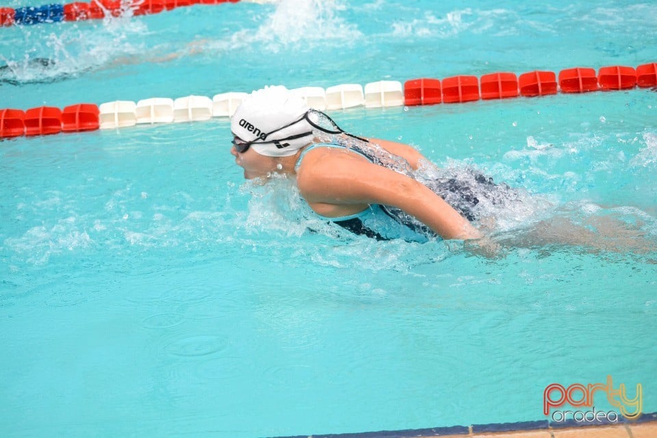 Memorialul Scheir Herman, Bazinul Olimpic Ioan Alexandrescu