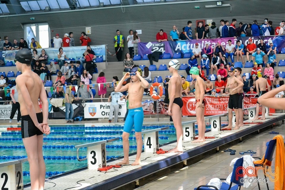 Memorialul Scheir Herman, Bazinul Olimpic Ioan Alexandrescu