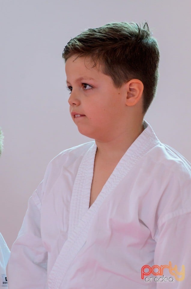 Micii judoka la Examen de Mon,