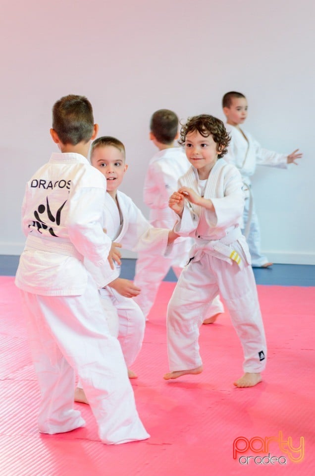 Micii judoka la Examen de Mon,