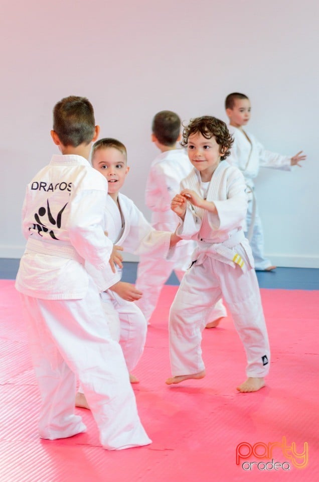 Micii judoka la Examen de Mon, 