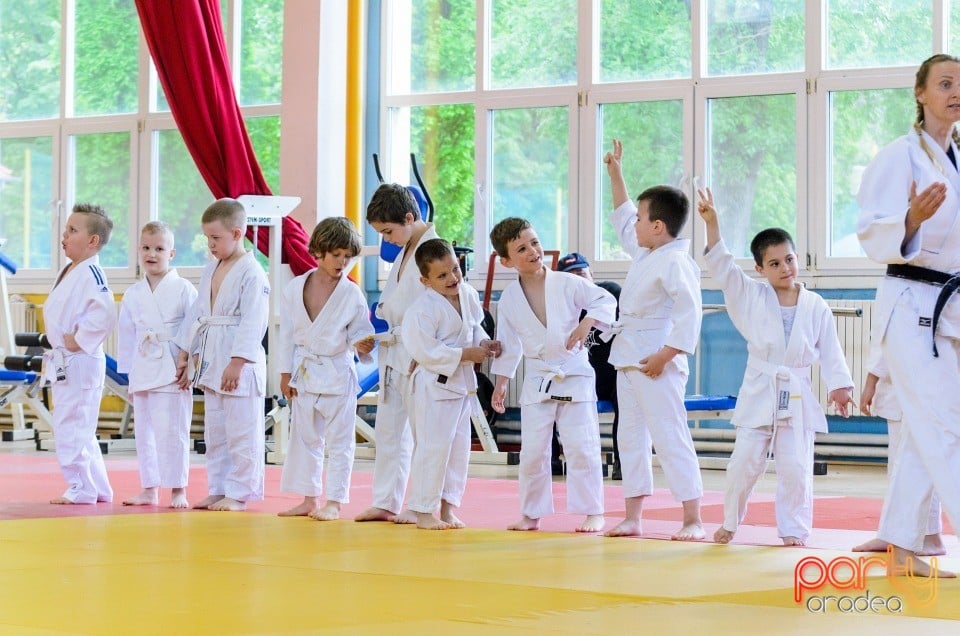 Micii judoka la Examen de Mon, Liceul cu Program Sportiv