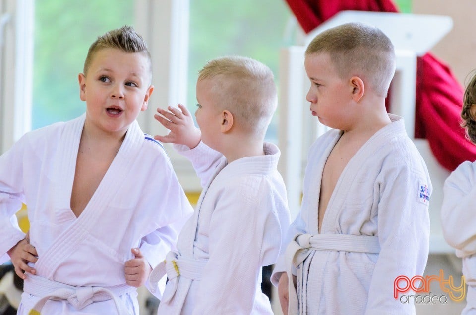 Micii judoka la Examen de Mon, Liceul cu Program Sportiv