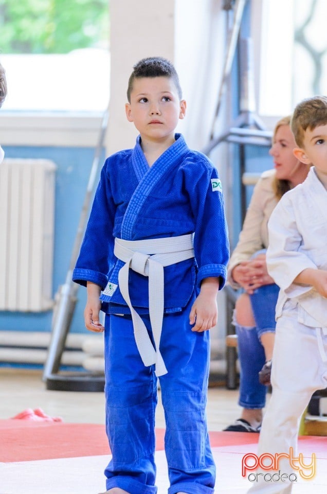 Micii judoka la Examen de Mon, Liceul cu Program Sportiv