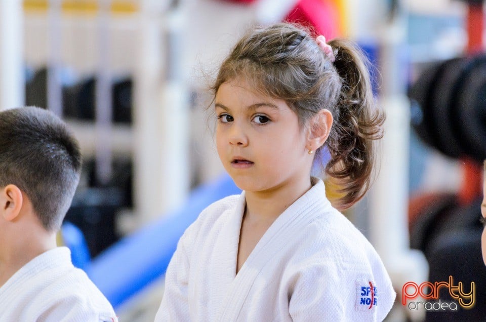 Micii judoka la Examen de Mon, Liceul cu Program Sportiv