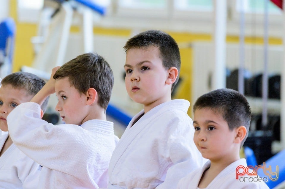 Micii judoka la Examen de Mon, Liceul cu Program Sportiv