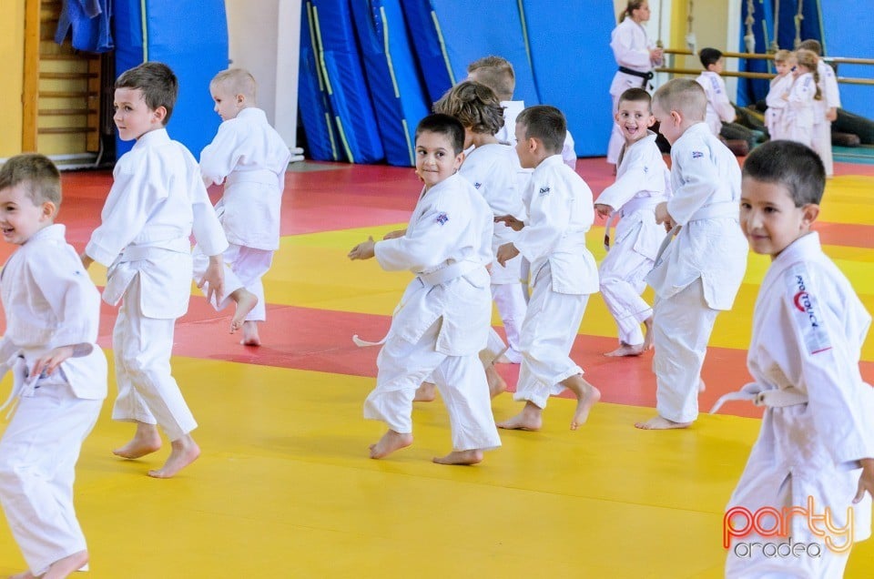 Micii judoka la Examen de Mon, Liceul cu Program Sportiv