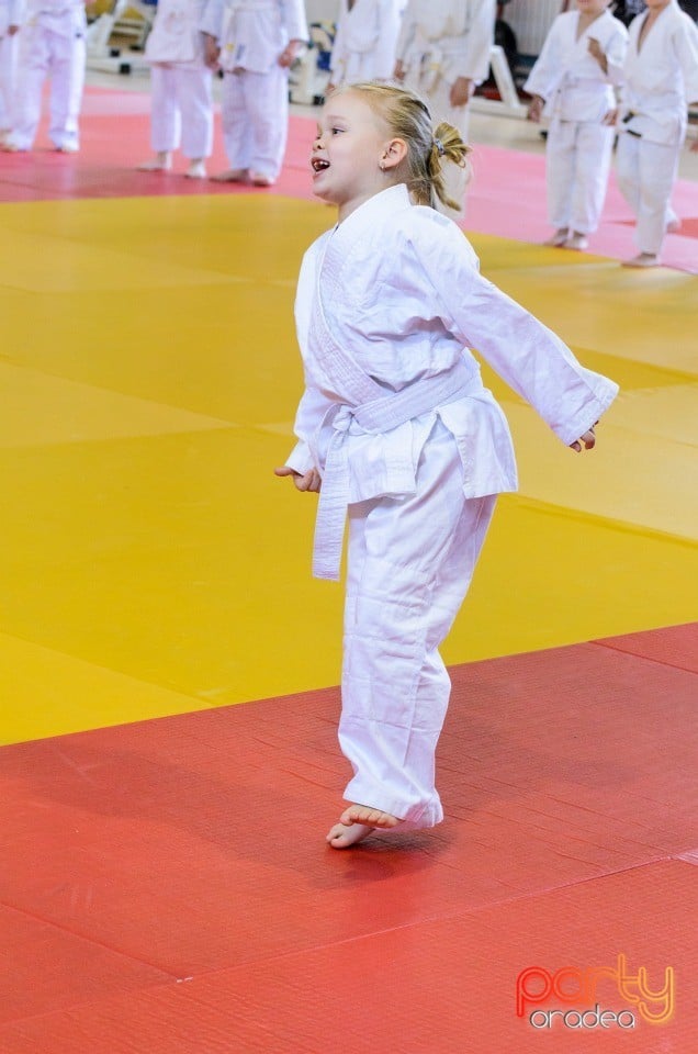 Micii judoka la Examen de Mon, Liceul cu Program Sportiv