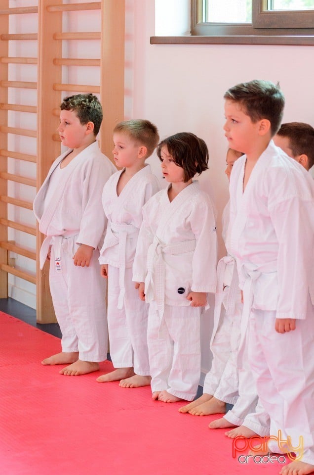 Micii judoka la Examen de Mon,